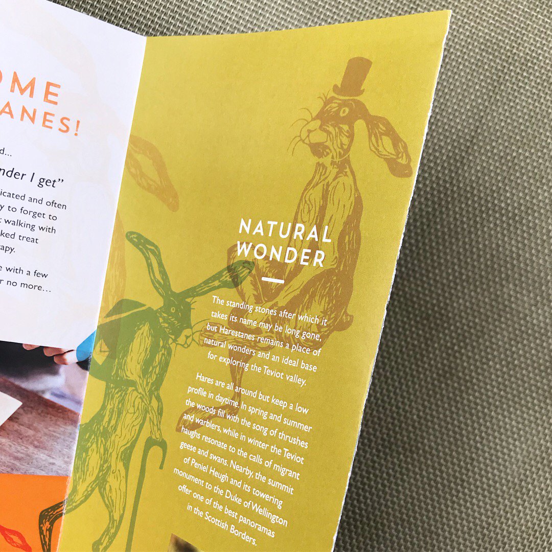 pmgd_'s tweet image. Always fab visiting Harestanes and even more so when picking-up printed copies of the Harestanes visitor leaflet, designed by pmgd. 
#pmgd #graphicdesign #printsamples #harestanes #liveborders
