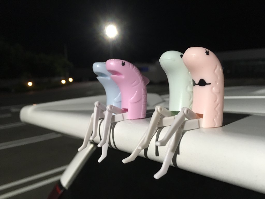 サメ次郎 サメ次郎