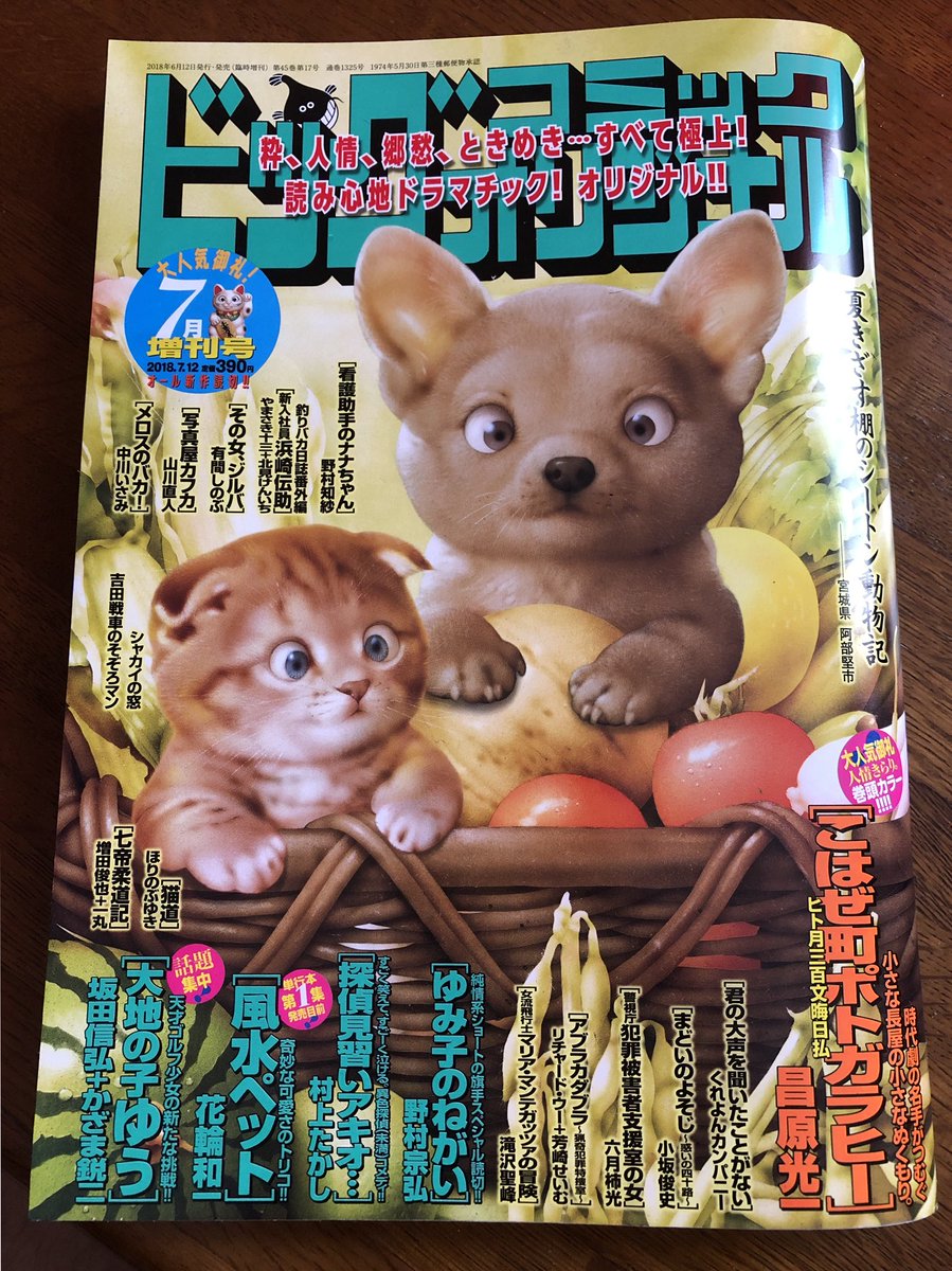 ビッグコミックオリジナル増刊発売中です。「まどいのよそじ」は年１レギュラーの北関東ラビッツ・永井編です。今回は他チームに所属する数少ない同期の桜、敗戦処理投手佐倉とのエピソード。名前がびっくりするほど適当です。どうぞよろしくお願い… 