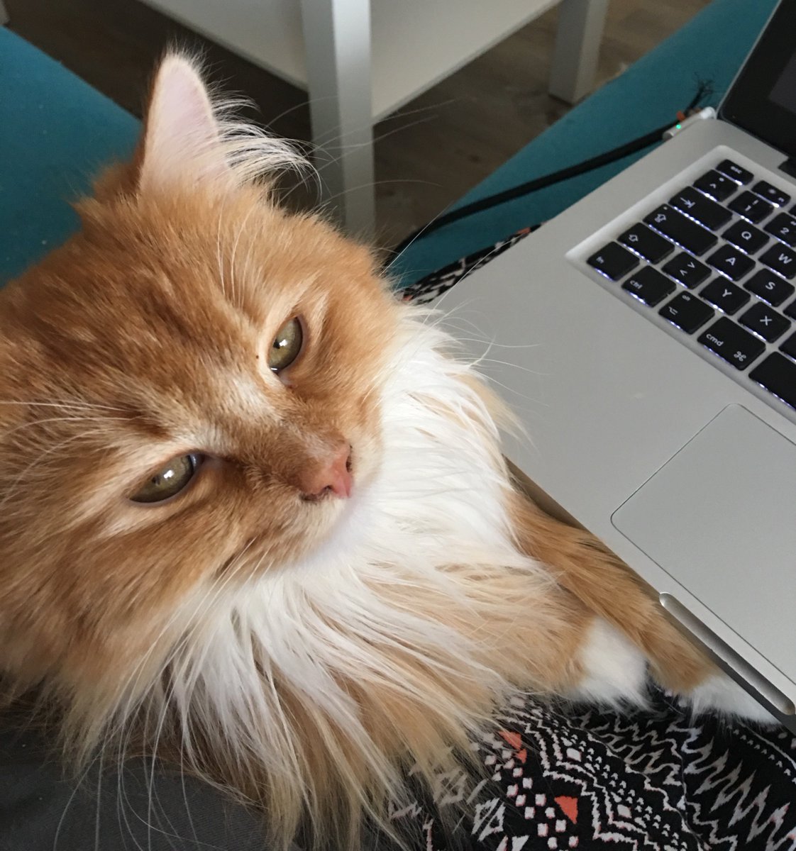 schmuseflusen's tweet photo. I reviewed your code and it’s bad! https://t.co/1e1SPOCeds