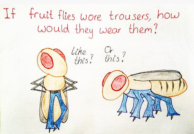a history of trousers #23 a history of trousers