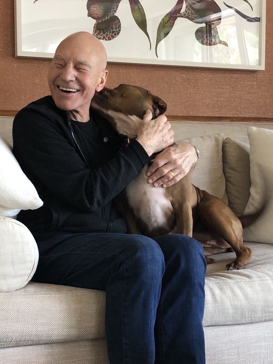 SirPatStew's tweet image. I’ve learned there’s a parliamentary hearing today with the Environment, Food and Rural Affairs committee to discuss ending breed specific legislation. Whichever way the hearing goes today signing this petition will be a great help. #missgingergurl #EndBSL rspca.org.uk/endbsl