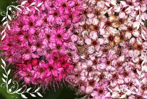 Birthdayhappy00さんのイラストまとめ