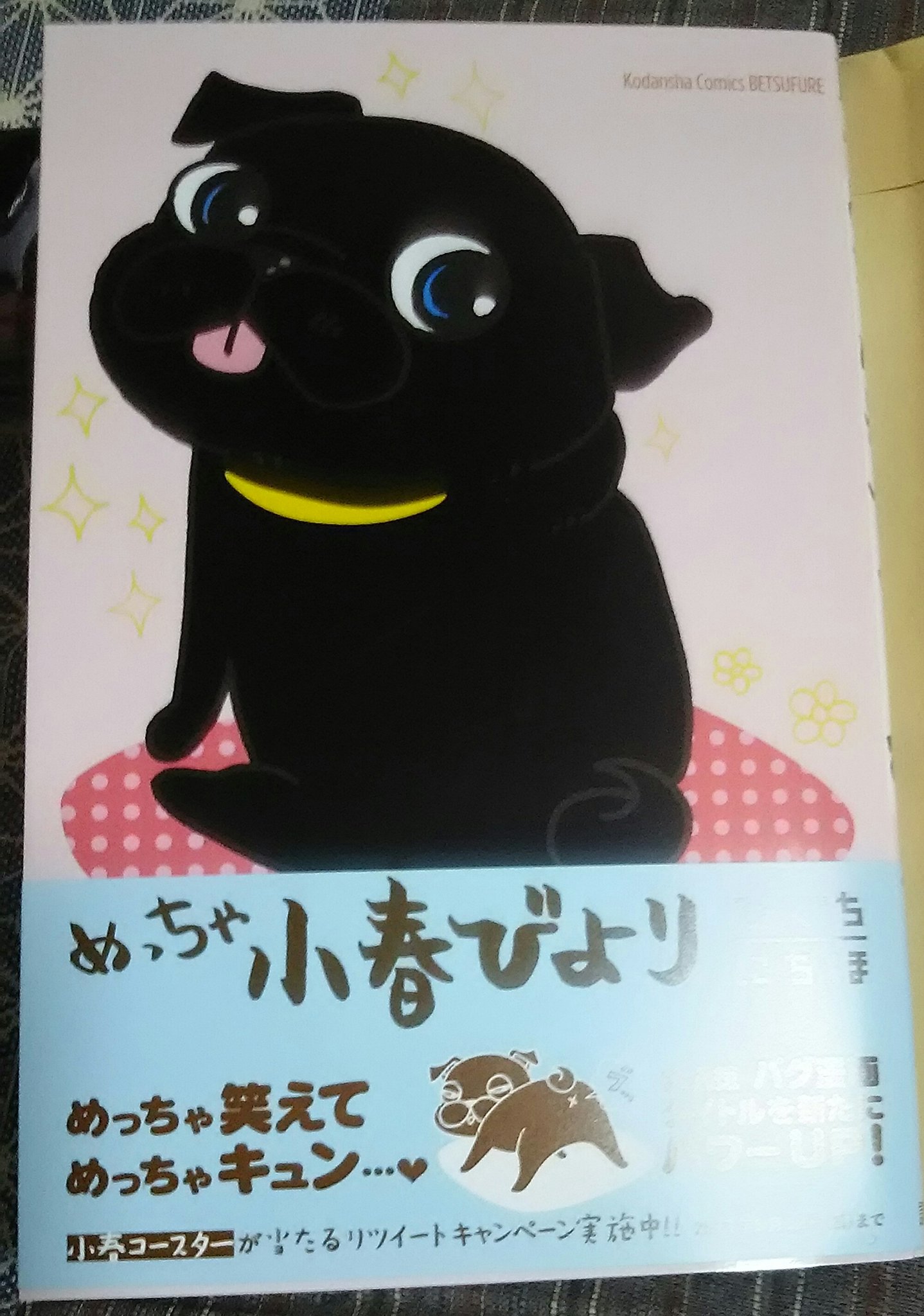 めっちゃ小春びより Twitter Search Twitter