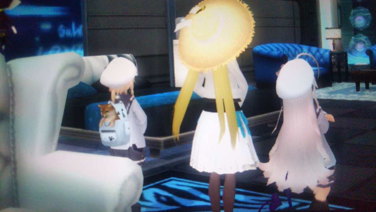 pまりq •ω•) Ship5 (@jewelry_pso2) | Twitter