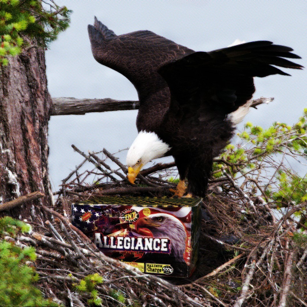 You can't have Allegiance without LIBERTY and JUSTICE for all. 🦅