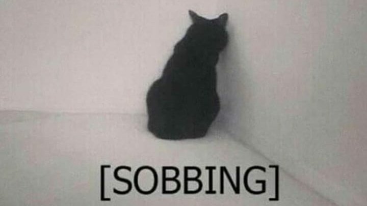 https_jjk97's tweet image. That part in 전하지 못한 진심: "I still want you."