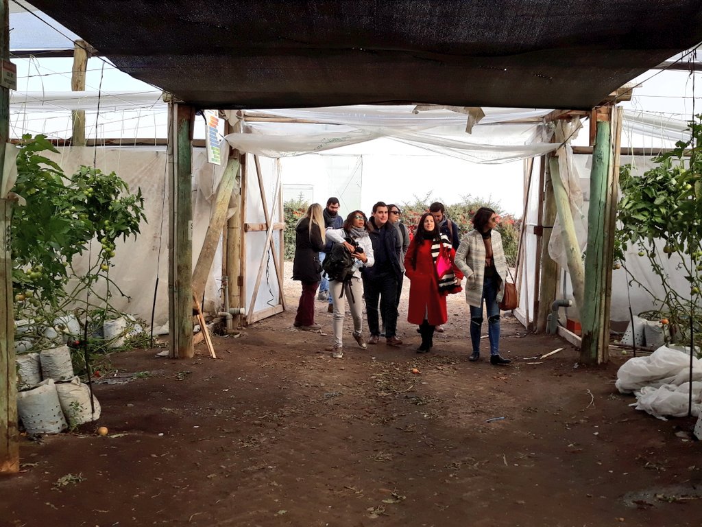 MuniGuaymallen's tweet photo. Representantes del BID, integrantes del equipo Espacio Lúdico y estudiantes ganadores del concurso #BIDUrbanLab, conocen el sector productivo del departamento. Ahora, llegamos a la productora de tomate Terrasol para recorrer sus invernaderos tradicionales y tecnificados. https://t.co/RLfHxDXoYu