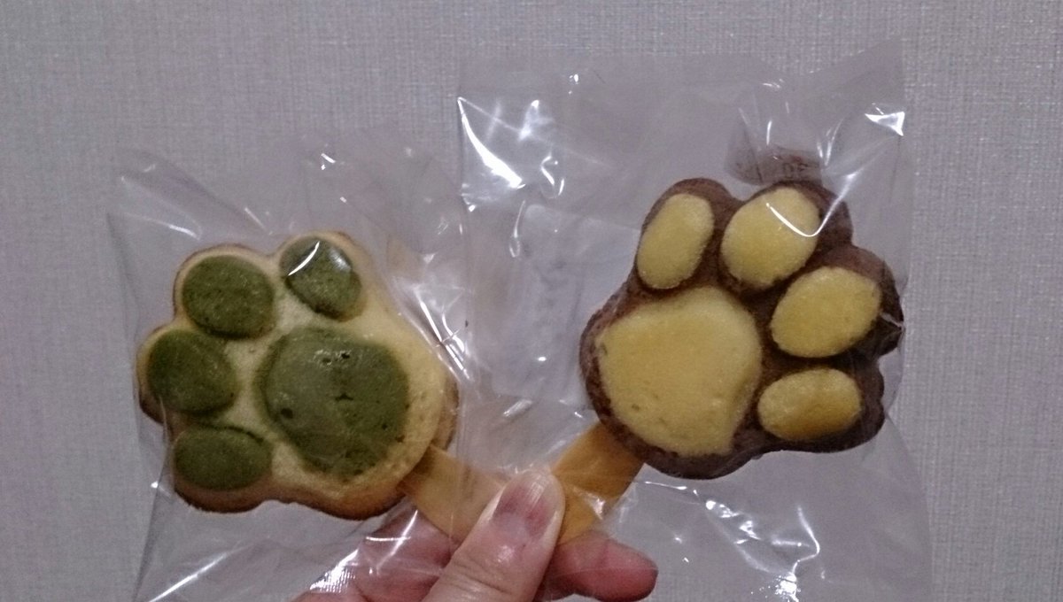 猫の手マドレーヌ Hashtag On Twitter