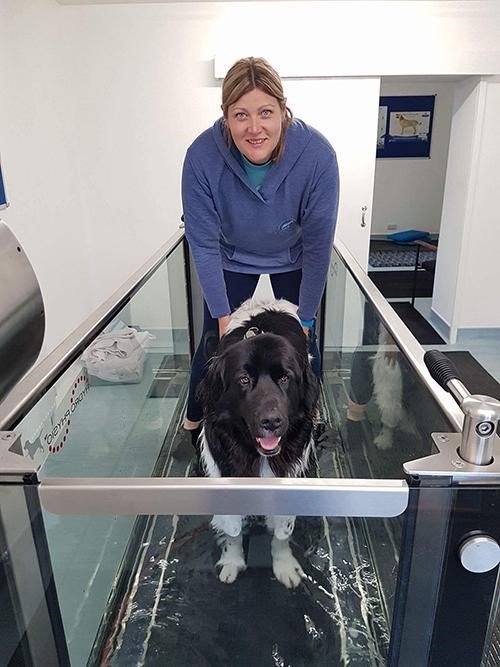 AbbeyVetsGroup's tweet photo. We have a state of the art #hydrotherapy suite in our #Barnsley branch: https://t.co/IdVD1rjLJ5 https://t.co/uAZPjQjo9G