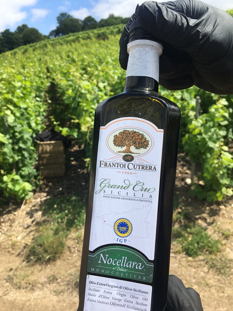 CarloOttaviano's tweet photo. Non resisto dal dirlo subito: il giro nei vigneti Dom Perignon inizia con un pezzo di pane e sale nell’olio dei Monti Iblei https://t.co/xzjH2EqMGC