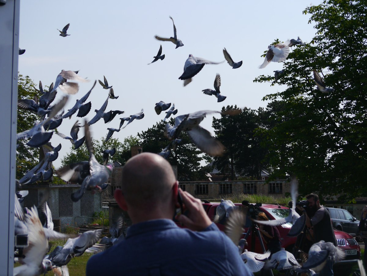 DataSolver_UK's tweet photo. @DataSolver_UK we are so lucky to have personally spectated the Lords vs Commons pigeon race. Watching over 300 birds released @bletchleypark, in the first race of its kind in 90 years. #bletchleypark @official_rpra #PigeonRace #BletchleyPark #LordsvsCommons https://t.co/rcRlnE7d0u
