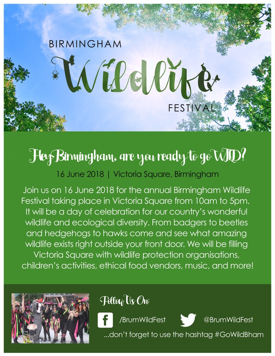 AmeleaTeckel's tweet photo. @AnimalAid Lots of delicious, ethical food to try out at the
Birmingham 🦊#Wildlife Festival
at the end of this #WorldMeatFreeWeek‼️
🙏Come & join us
10am, Victoria Square🦡
Sat. 16th June '18
Fun, festivities, food ~
& 🎶by Fairport Convention & Tanglemist🎵
#GoWildBham ~ #stopthecull https://t.co/iDUCb9IhqI