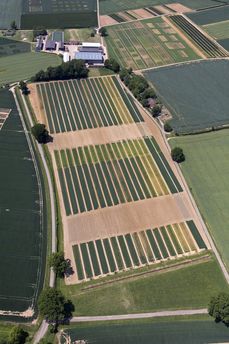 eRA_Curator's tweet photo. Fascinating article ‘Where the seeds of modern #statistics were sown’ https://t.co/WJ4IKJWQsC "It would not have been possible for Fisher to achieve what he did without @Rothamsted's vast and unique #data sets" data in e-RA and reports in @Rothamsted_docs  https://t.co/elDu8BHWFF https://t.co/3KmPtJW21Q