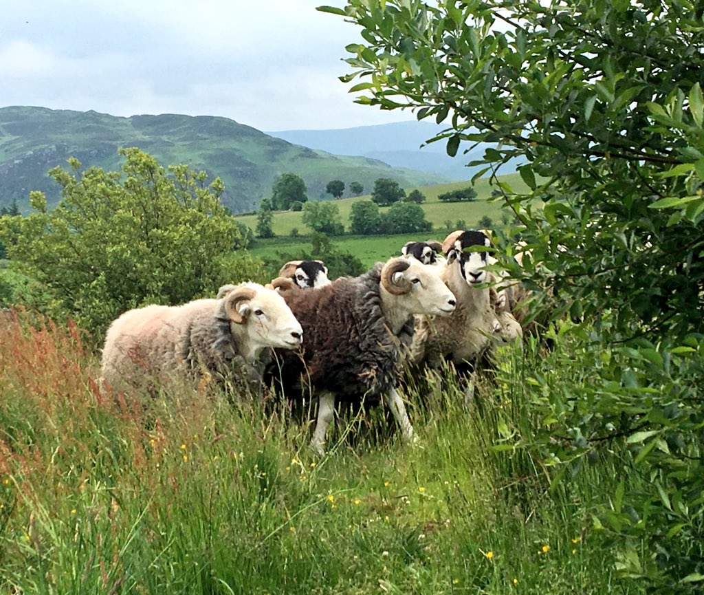 Is there anything more beautiful than the English landscape in June?

Rhetorical question because I’ve already decided the answer is NO