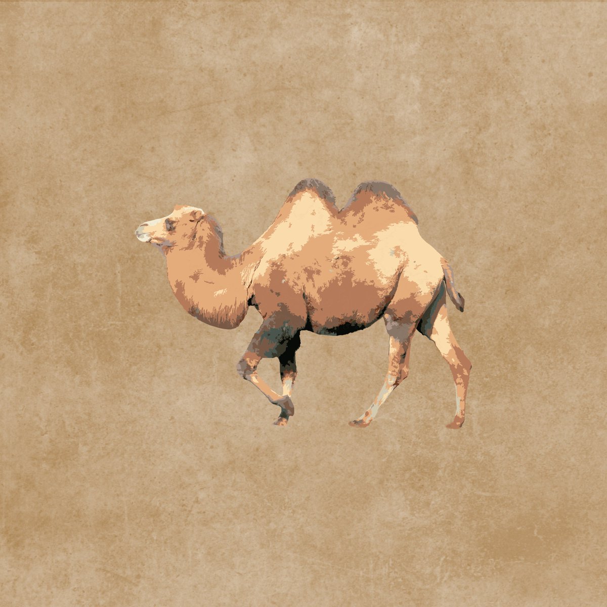 HiKendallCars's tweet photo. You've made it! It's #HumpDay! The weekend is ever nearer...! https://t.co/w5jpOJWBXv