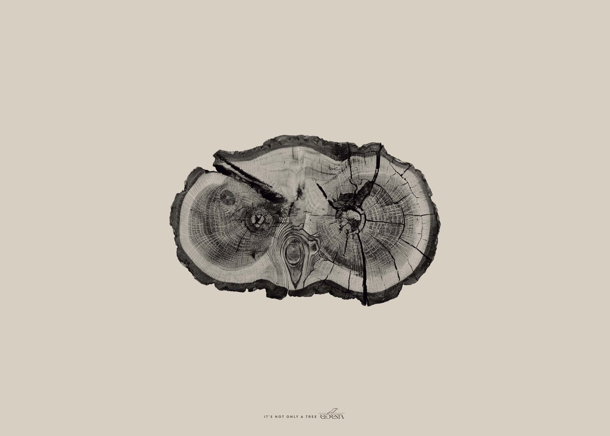 lacriaturacreat's tweet photo. "No es solo un árbol", campaña gráfica de @TBWA_es para Asociación Reforesta https://t.co/IsVDXqoCTw