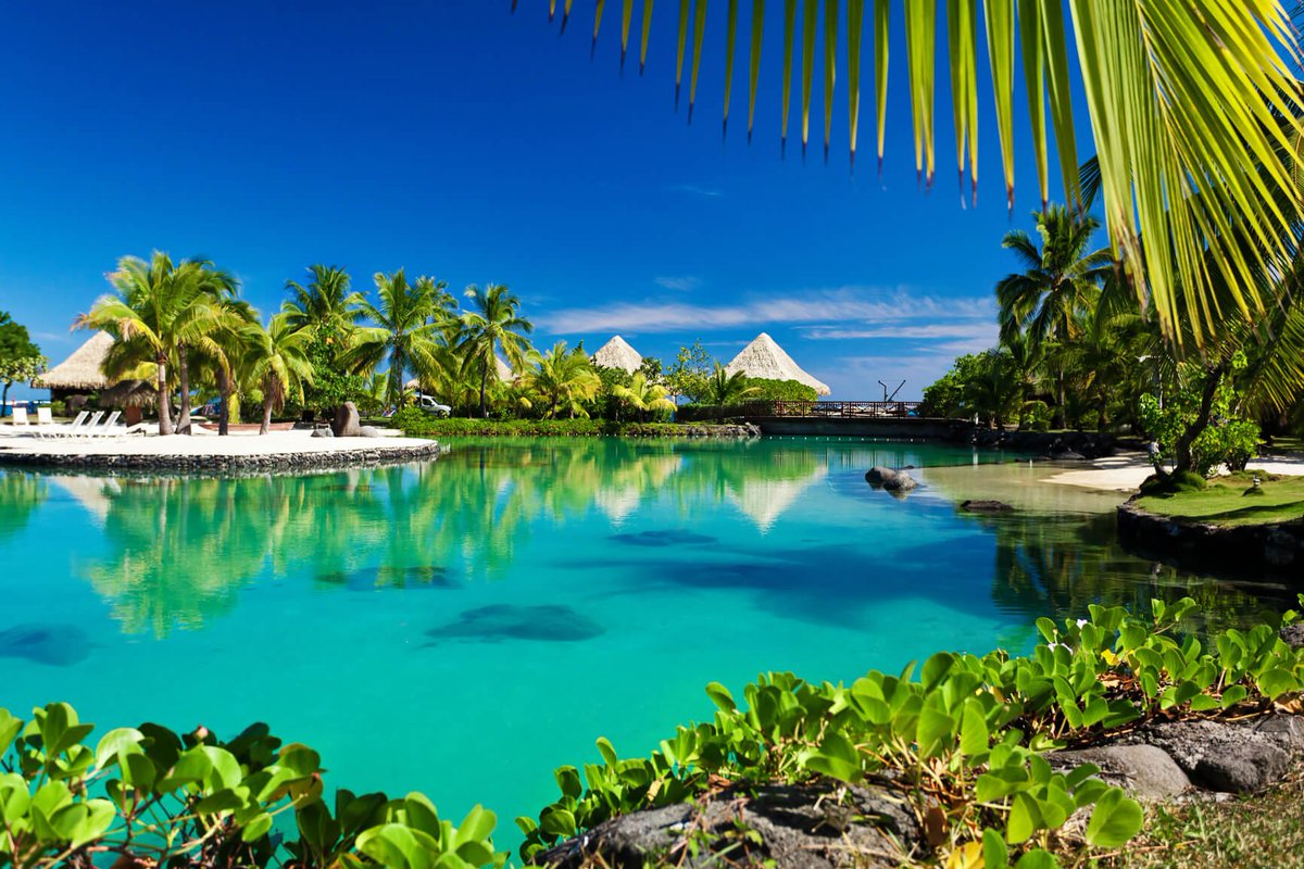 SUMMER: Sofia, Bulgaria to the Maldives or Seychelles from only €428 roundtrip with @QatarAirways.

secretflying.com/posts/sofia-bu…