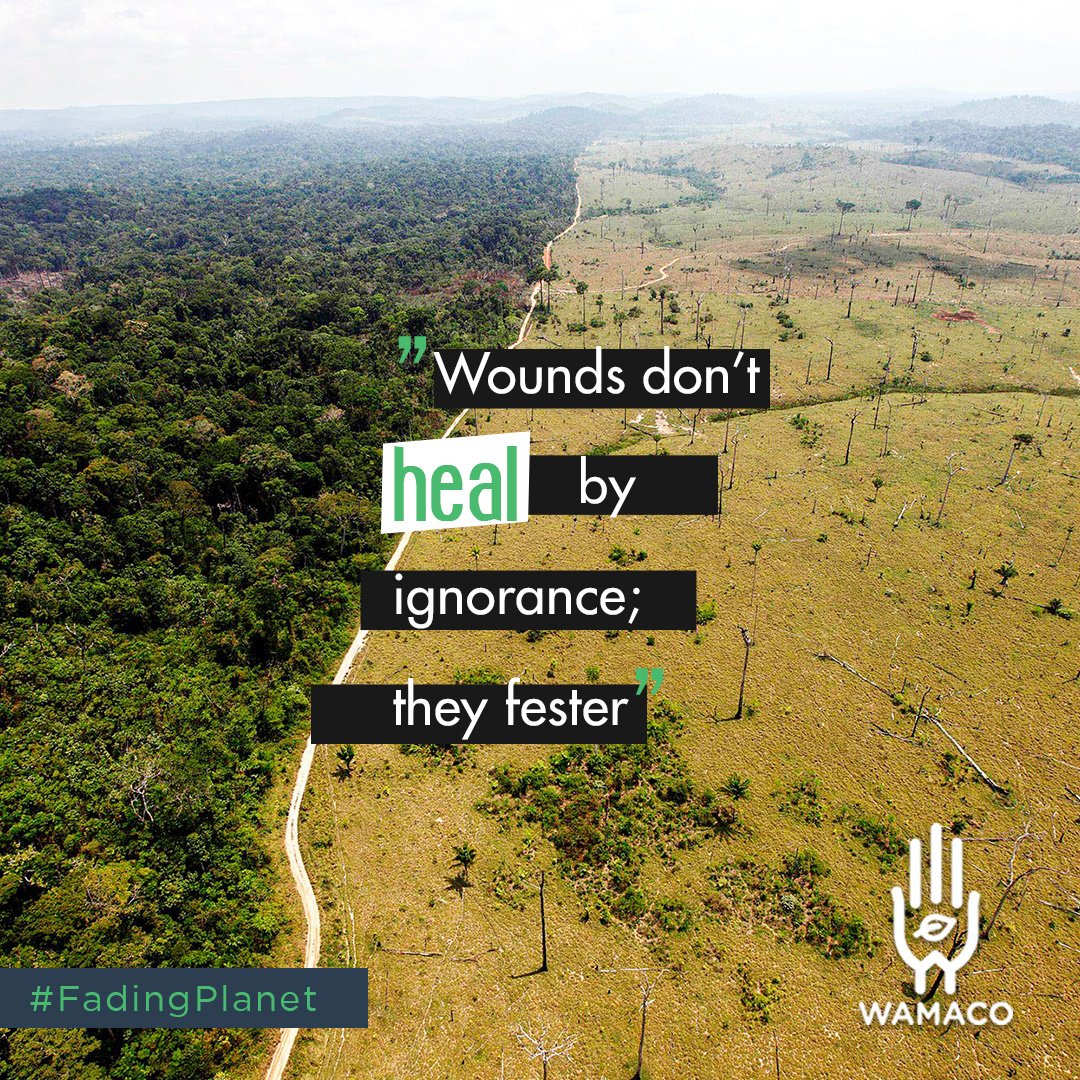 Wamaco_India's tweet photo. The greatest threat to our planet is the belief that someone else will save it. The problem of environment degradation is real. Continuing on the same philosophy we, at Wamaco believe in creating products that will help build a sustainable environment. #FadingPlanet

#Environment https://t.co/siq2JRibFz