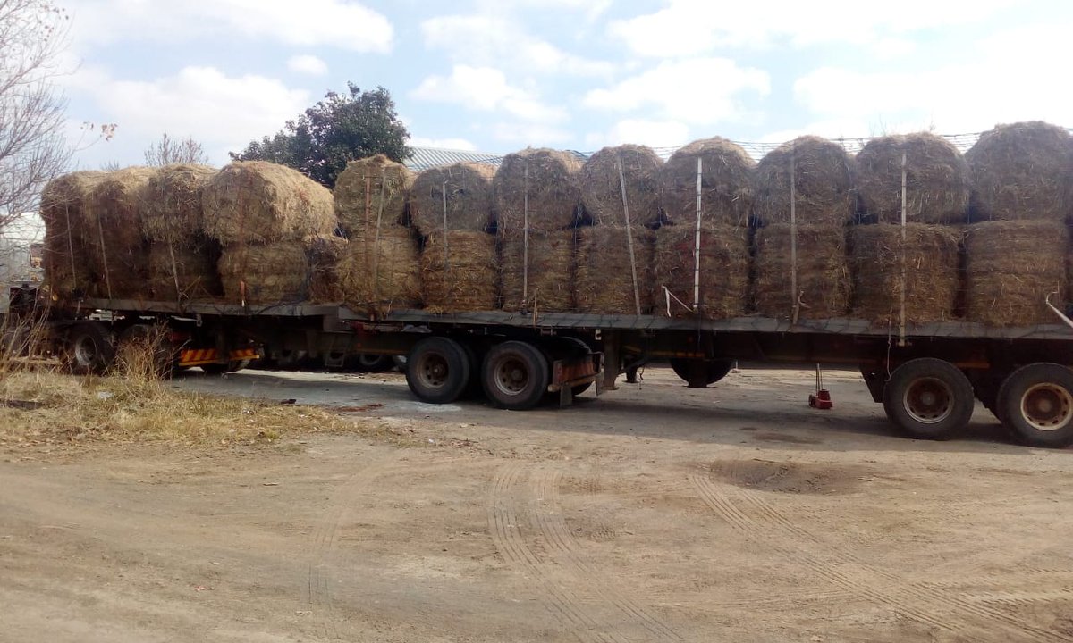 boere_in's tweet photo. #Boereinnood
@MiljoenvirSteve 
@Die_Burger 
@toekomsvonk 
Vrag naby Henneman gelaai  Baie baie dankie oom Johan Serfontein vir soveelste skenking. Vrag oppad na Steytlerville en Humansdorp Veilig ry Noag en Richard https://t.co/FDSqCMrems