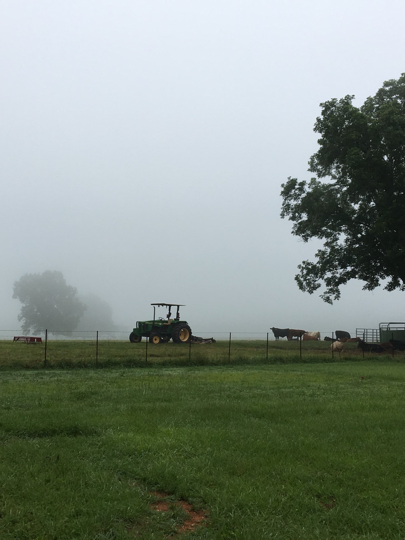 Greenway Farms Of Ga Morning On The Farm Farm Beautiful Greenway Farms Of Ga Morning On The Farm Farm Beautiful
