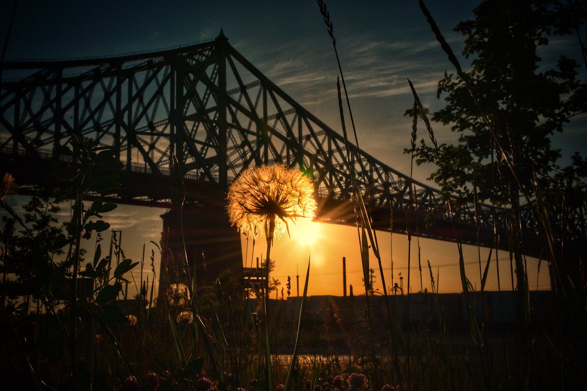 contantc's tweet photo. Bonne journée! #cbcmtl #radiocanadainfo @rdimatin @gravelmatin #Montreal #Montréal #sunrise #leverdesoleil #pontjacquescartier #Photographie #photography #nikon https://t.co/2mQUokUHuI