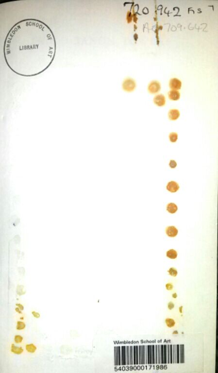 ChloeSpicerArt's tweet image. I'm looking for a library arts residency so that I can carry out research and development for my marginalia (annotations) artist's book - an unrealised idea I've been holding onto for the last few years since an initial workshop at @WCA_Library