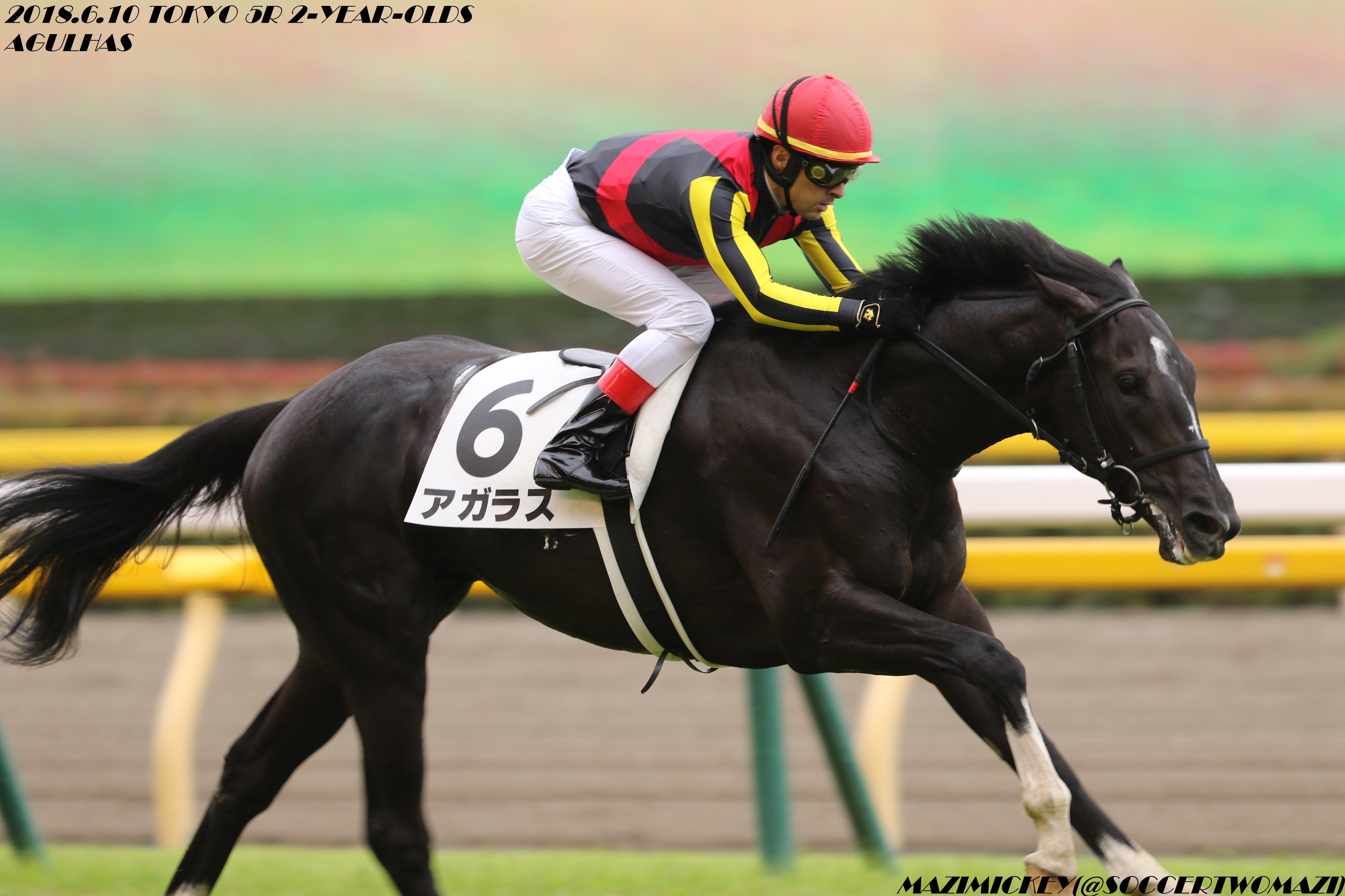 Mazi みっきー 18年6月10日 東京5r 2歳新馬 芝1800ｍ 優勝 アガラス C ルメール タイム1 51 2 直線で抜け出したアガラスがそのままノーステッキで押し切り2着に優勝 ブラックタイドにブラックホークの肌 渋い 2歳新馬 アガラス T Co