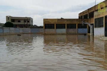 عرض الصورة على تويتر