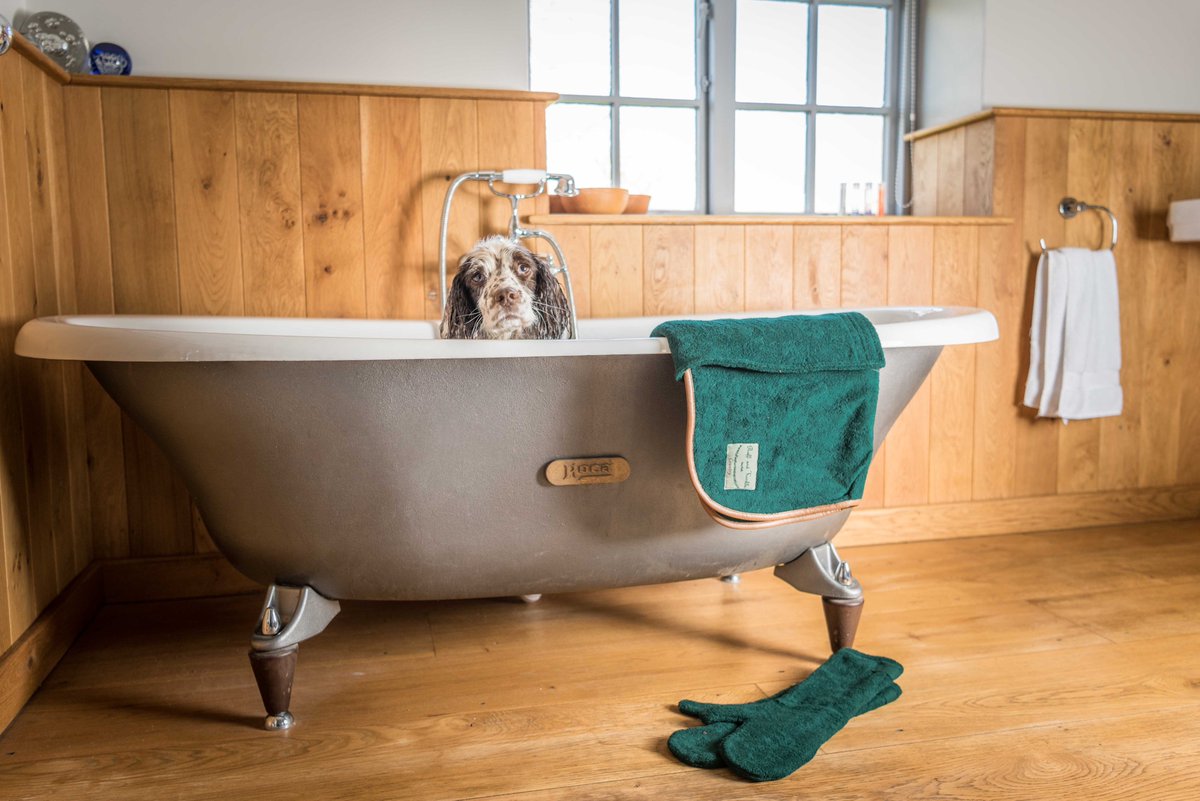 BazilRuby's tweet photo. Summer is flea, tick and rolling in poo time - which means lots of bath times! Drying coats dry wet dogs in 10 - 15 minutes without messy shake-off and back-breaking towel wrestling - Drying Coats &amp; Mitts available at https://t.co/IsUnqteRHx

#dogsofinstagram #dogsoftwitter #dogs https://t.co/E07lyHKYB4