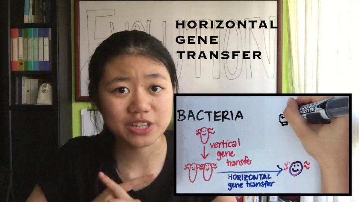 Cmdr_Hadfield's tweet image. If you&apos;re 13 to 18 and can make a great 3-minute video about science, you have until 1 July. Top prize is a $250,000 scholarship, plus $50K for your teacher. Go for it! breakthroughjuniorchallenge.org/enter @brkthroughprize