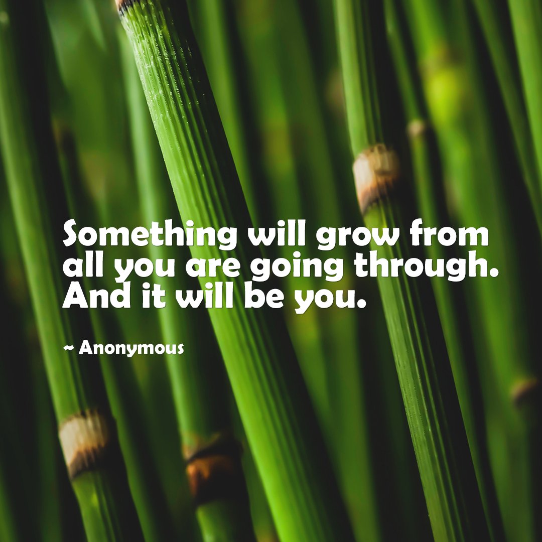 lstyleindy's tweet photo. Something will grow from all you are going through. And it will be you. 🙂 #IndyBOOMER #babyboomer #babyboomers #boomers #boomer #Indianapolis #Indiana #Indy #Indytime #Indylife #Indyvisit #inspiration #lifequotes https://t.co/xD3HnRMvJm
