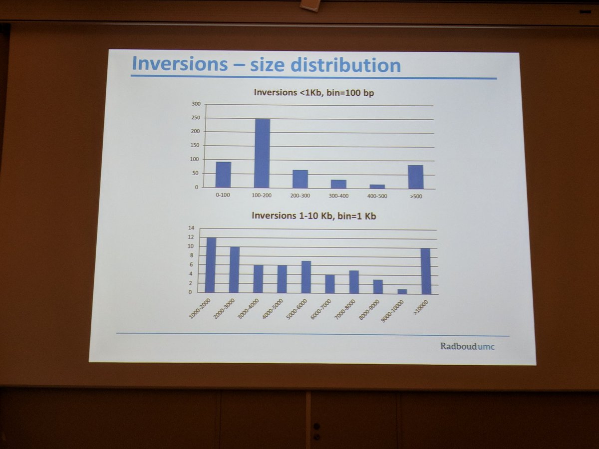 XLR's tweet image. Alex Hoischen: There are 33-40k indels per genome, 20-50 bp. Inversions larger than 10kb were observed. Next up, validation of inversions. #SMRTLeiden #MadeByPacbio #pbsv @PacBio