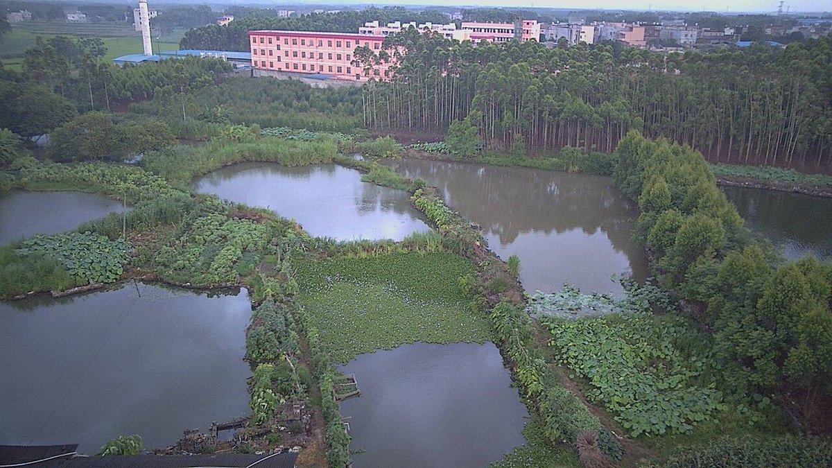 TTC_Technology's tweet image. It seems that it is going to rain soon,does not it?
Wonderful Place Makes us Slow Down and Breath Much Deeply.
Love Our Life Than Yesterday!
----Caputure from #CFLY #OBTAIN