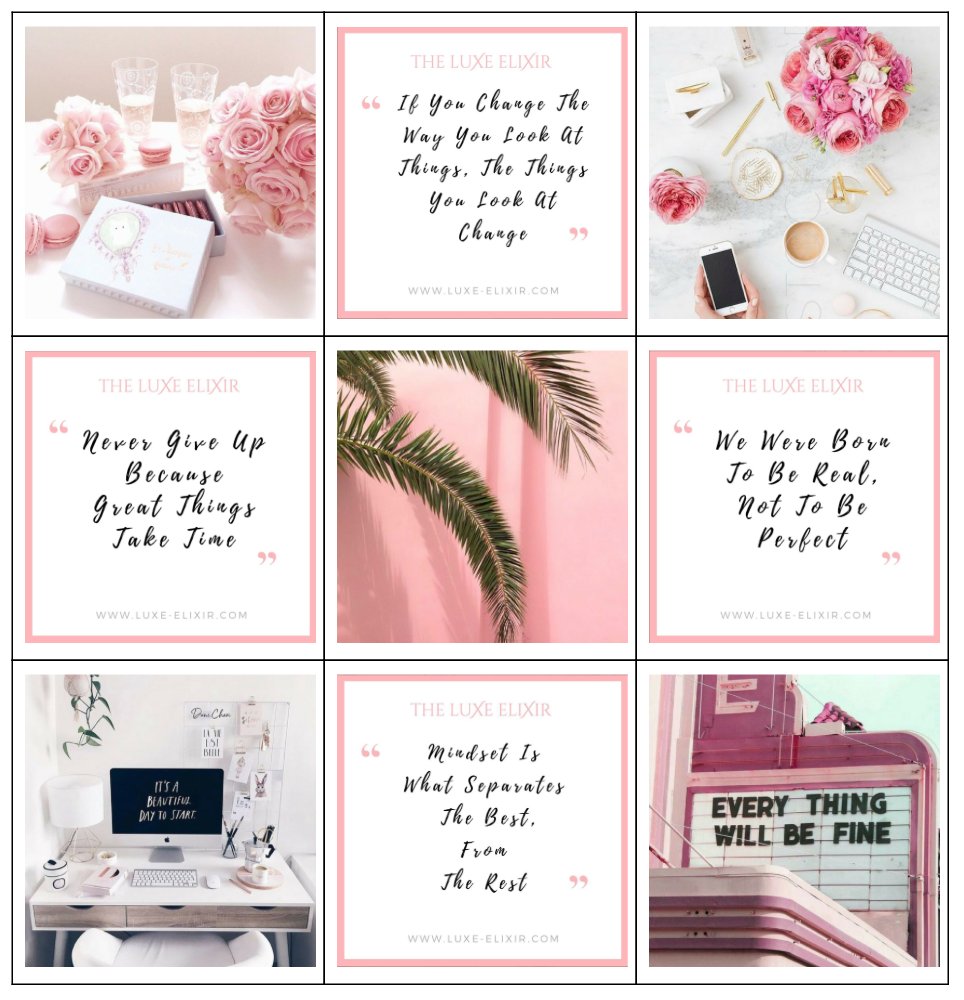 Social Cactus tweet media