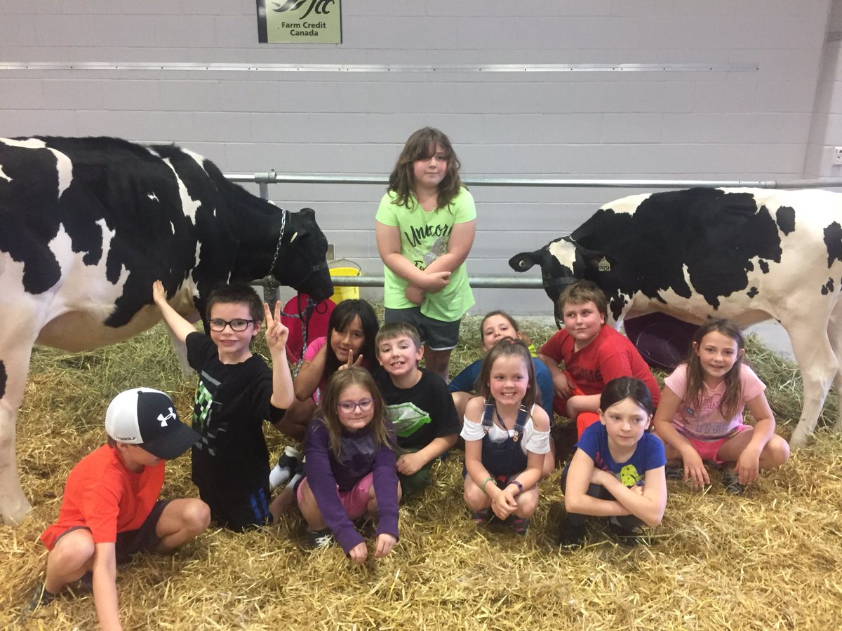 Ahall06Ashley's tweet photo. @yourschools what a great group of Gr8 students from across Perth County. As a dairy farmer, I was proud! Keep drinking milk to keep your intelligence growing!! #iFarm18 https://t.co/HrwbV5HQwS