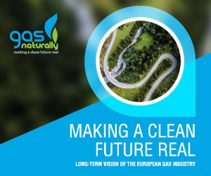 GasNaturallyEU's tweet photo. The European #gas industry will contribute to a #low-emission economy in ten important ways – check them our in our newly published Long -Term Vision: https://t.co/REHYLzfsp4
#CleanEnergyEU #ParisAgreement #SDGs #ClimateAction #EUforTalanoa https://t.co/VzqyShP0z3