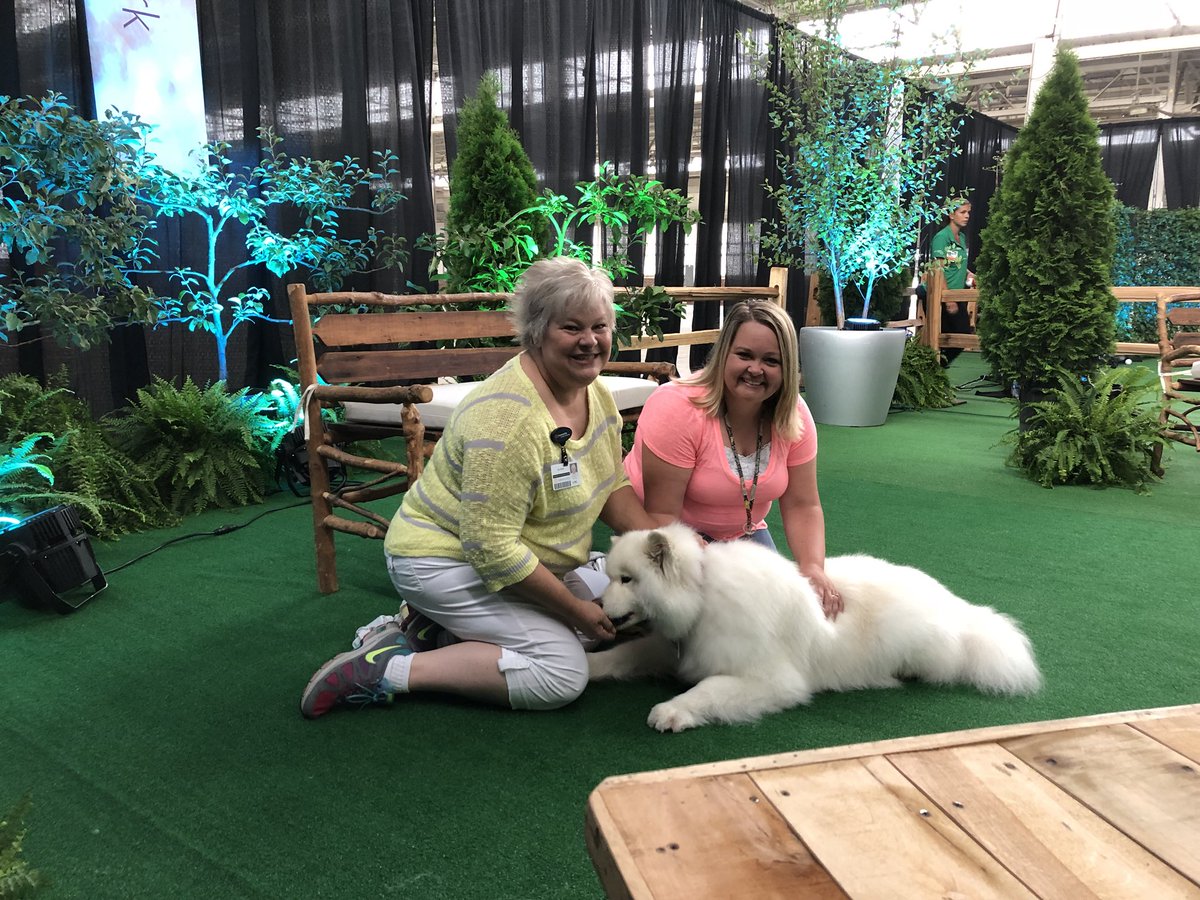 JessiJessB's tweet photo. #CommunityAllTeam #TherapyDogs #CommunityHealthNetwork https://t.co/aTkID48vzs