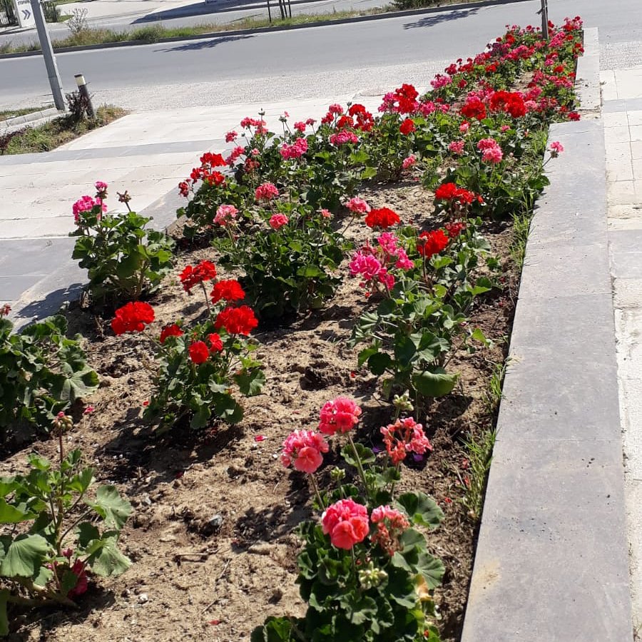 Peyzaj alanımızın renkleri @EmlakKonutGYOAS <a href="/HasanDurhat/">Hasan Durhat</a> @Emlakisletmeler <a href="/AlicanOzpolat/">Alican Özpolat</a>
