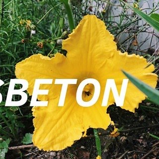 Ne laissons pas la place à un parking. 🌱
Ne laissons pas béton la ferme Niel, rendez-vous pour des Heures Heureuses spéciales ce soir. ⚠️ #laissonspasbeton #ecosystem #endanger #bienvenussurterre #parking #urbanfarm #bordeaux #darwinbordeaux ift.tt/2JxpT9W