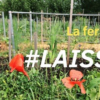 Ne laissons pas la place à un parking. 🌱
Ne laissons pas béton la ferme Niel, rendez-vous pour des Heures Heureuses spéciales ce soir. ⚠️ #laissonspasbeton #ecosystem #endanger #bienvenussurterre #parking #urbanfarm #bordeaux #darwinbordeaux ift.tt/2sUOJWU