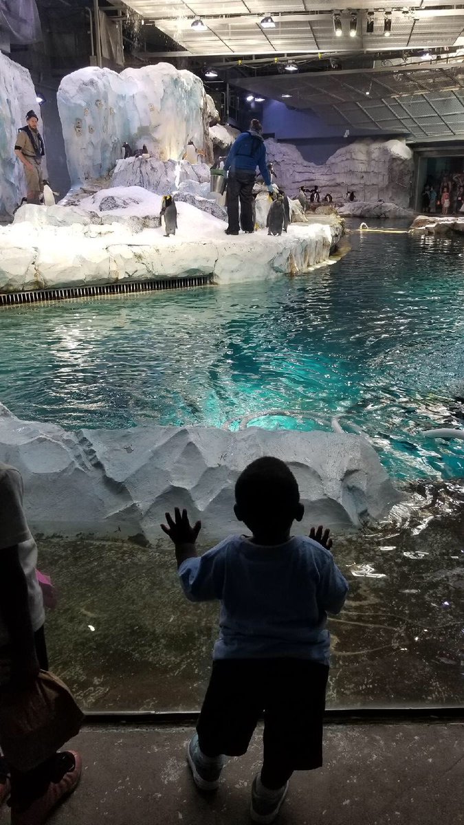 matrix_detroit's tweet photo. More photos from our #MatrixHeadStart's recent @detroitzoo field trips!
See the album: https://t.co/IinTIomyp5
Our #HeadStart centers throughout #Detroit are enrolling ages 0-5 for fall. Get started today at https://t.co/olla0DTOXp
#DetroitLove #DetroitFam #Dtown https://t.co/iyl6NdU1hi