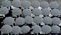 HBS Baker Library tweet media