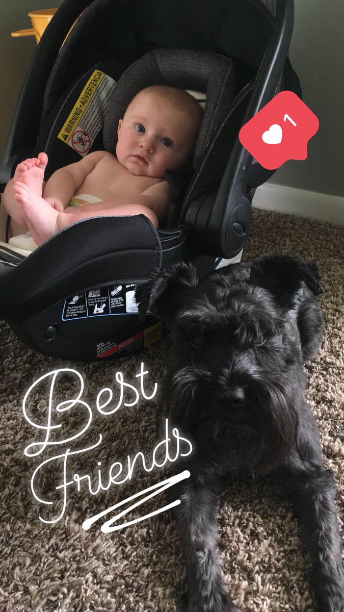 RileyOConnorwx's tweet photo. Best Friends! https://t.co/ufJoEPewk8