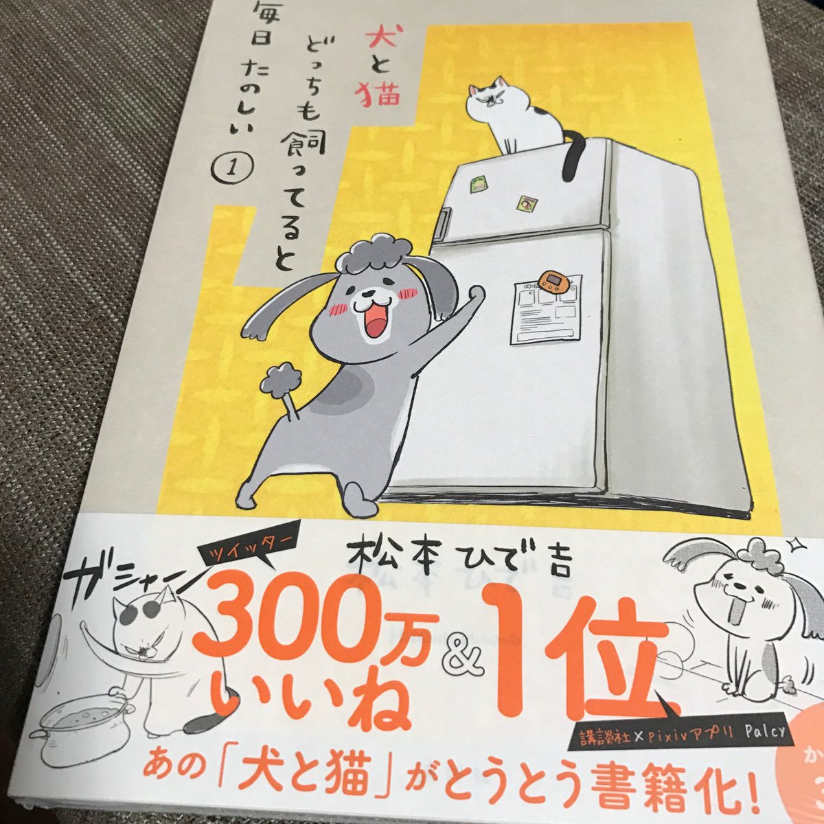 Hashtag ねこ色保健室 Na Twitteri Hashtag ねこ色保健室 Na Twitteri