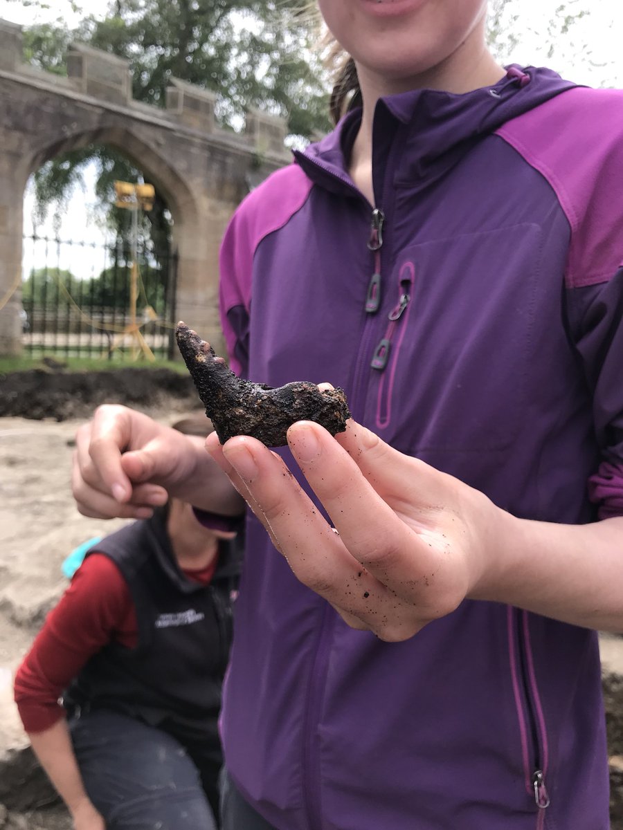 DUACE2025's tweet photo. A glimpse into the bishop’s diet? Check out this piece of lobster claw from our dig at Auckland Castle @aucklandproject #DUACE https://t.co/BmZAHQu2xP
