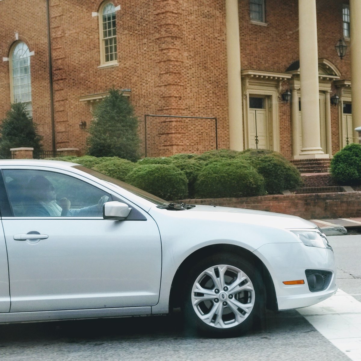 Lacy Mau-McDowell tweet media