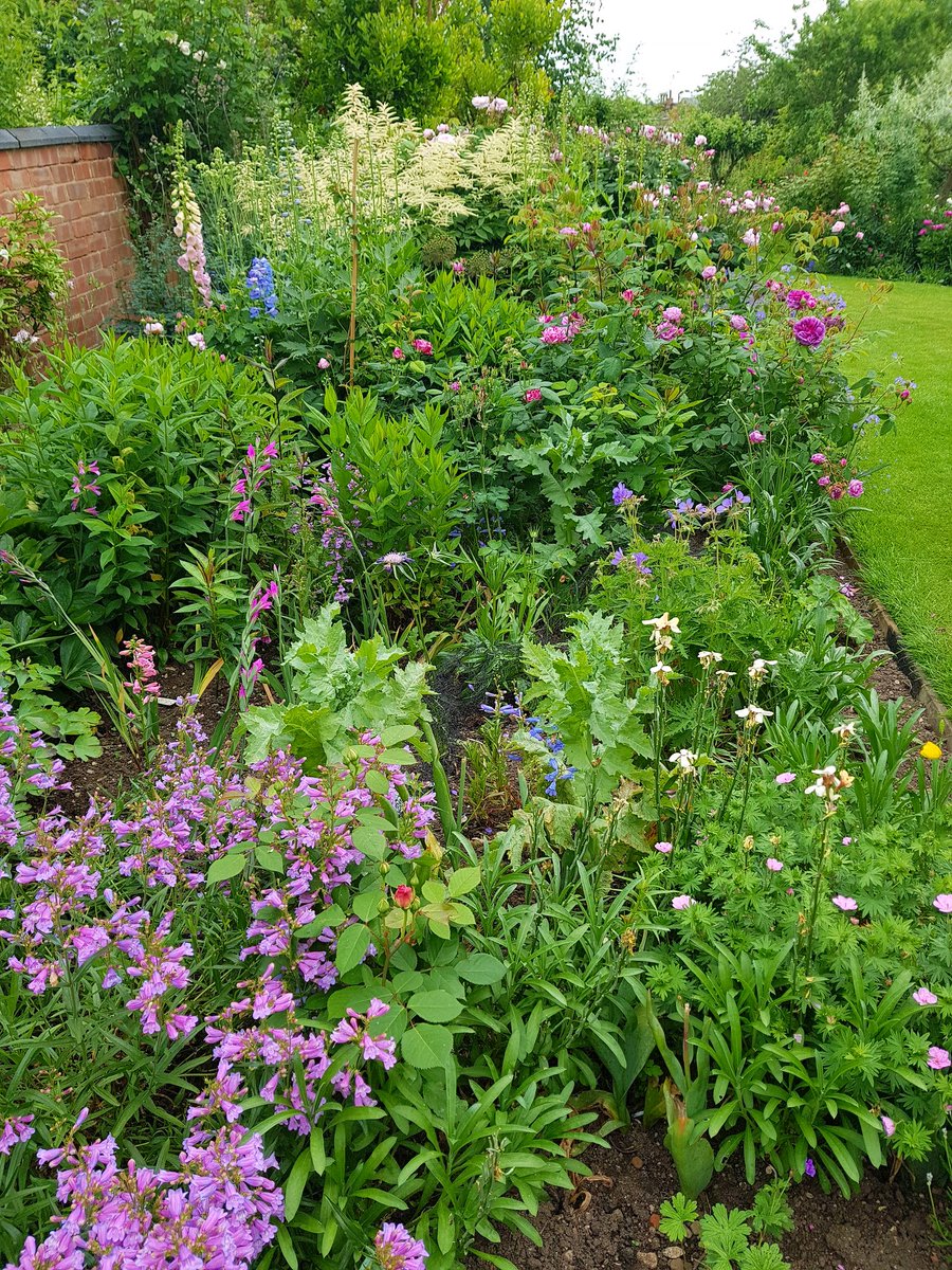 LMElliottPhoto's tweet photo. My mother's pride and joy - aged (a young) 80 and still gardening every day #SummerGardenDays @The_RHS https://t.co/8Wck0ceyPY