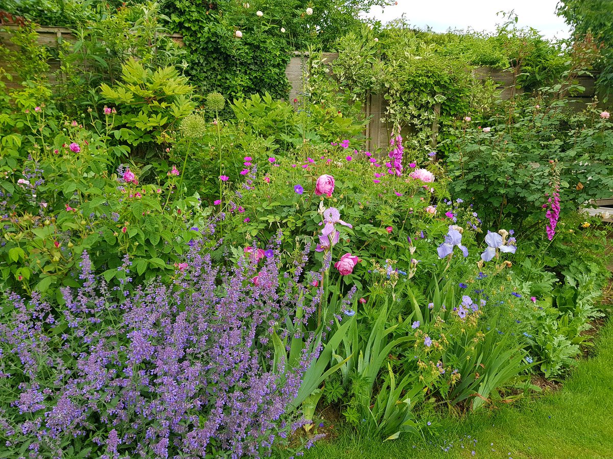 LMElliottPhoto's tweet photo. My mother's pride and joy - aged (a young) 80 and still gardening every day #SummerGardenDays @The_RHS https://t.co/8Wck0ceyPY