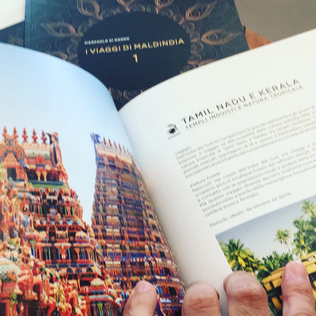 pierpadinardo's tweet photo. I #viaggi di #Maldindia. Il nuovo #libro sui miei 20 anni di viaggi nel #Subcontinente #indiano. #india #himalaya #rajasthan #kerala #ayurveda #getlost #travelblogger  https://t.co/ZXrBrOPBUB https://t.co/imXe4Y51FX